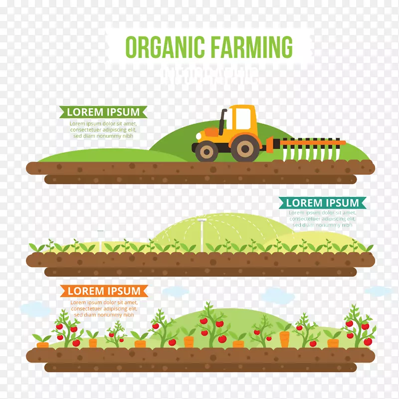 有机农业infography平面设计