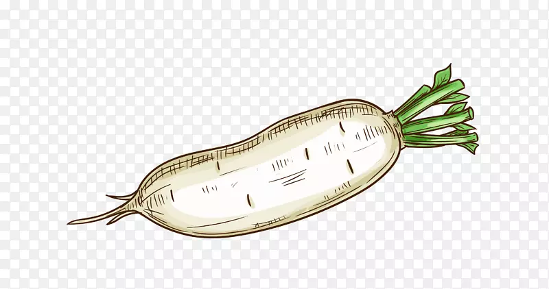 矢量卡通冬季时令蔬菜萝卜png