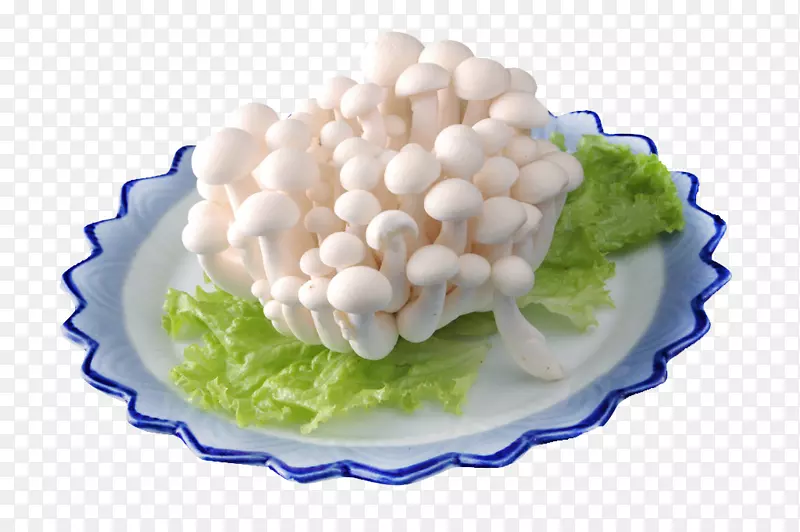 白玉菇拼盘摄影图