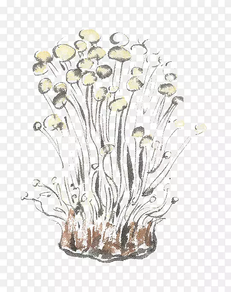 手绘金针菇