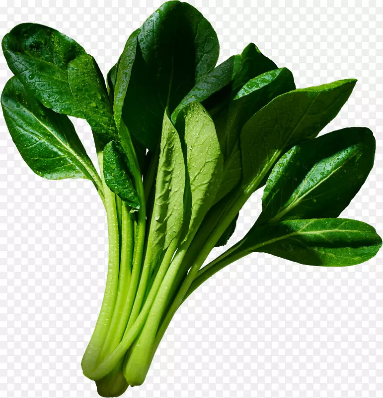 创意合成绿色的蔬菜菠菜