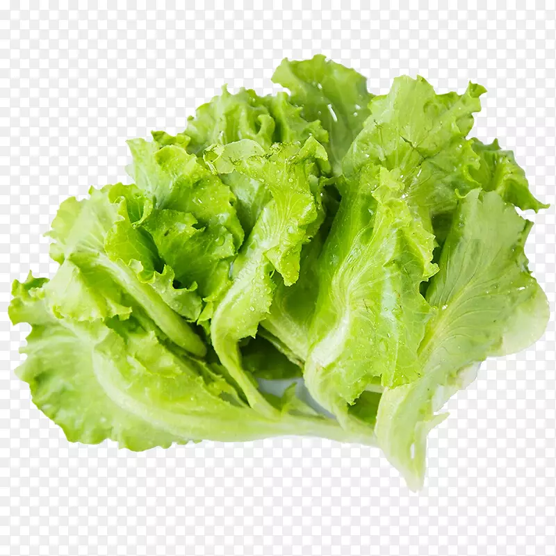 生菜免抠素材