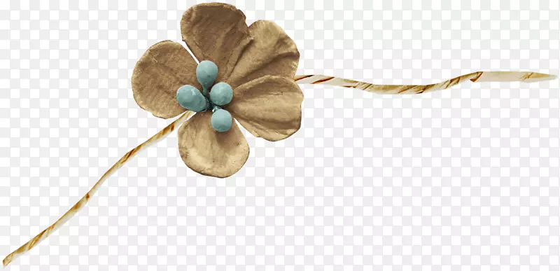 褐色花朵和蓝色花蕊