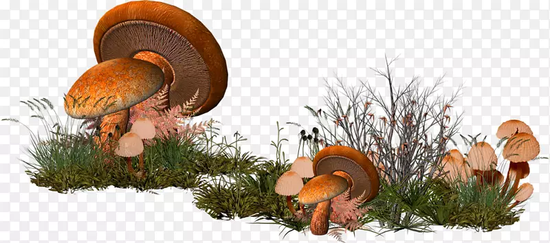 卡通草丛蘑菇森林装饰图案