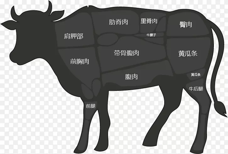 牛的部位分解图