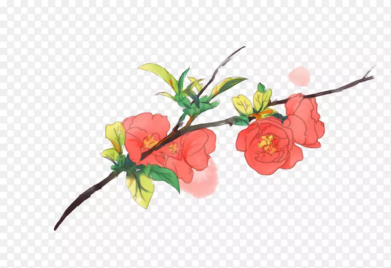 手绘红色海棠