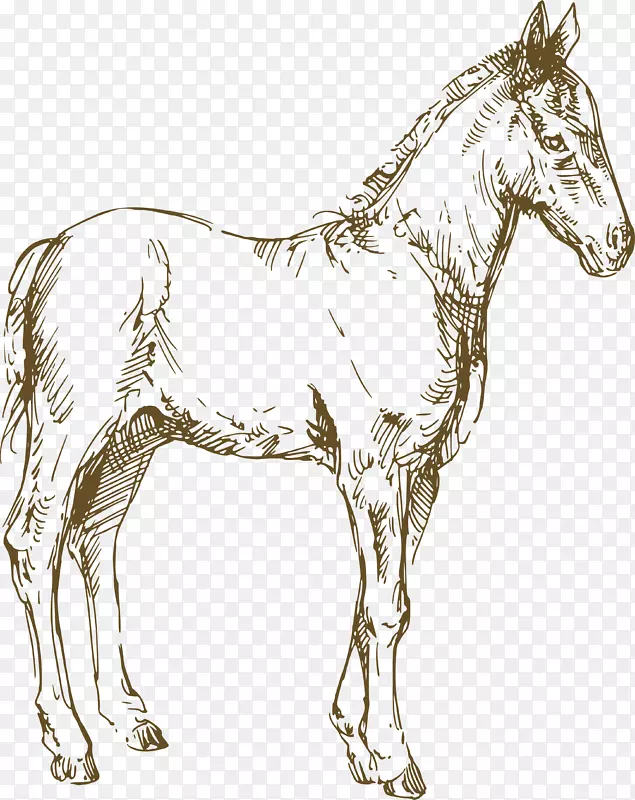 手绘素描动物马设计