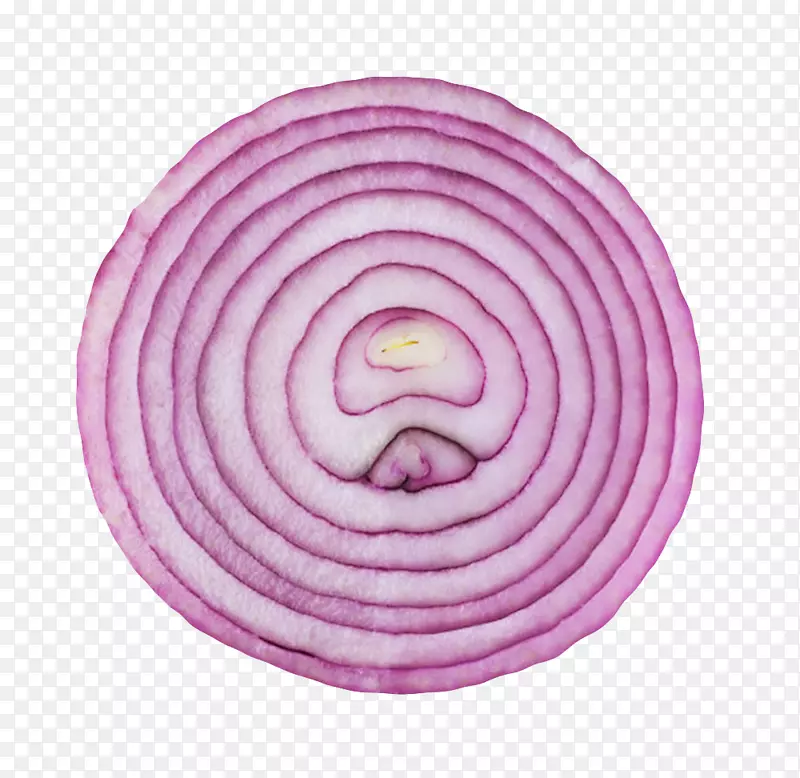 紫色切成圆形的洋葱实物