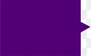 紫色导航标签