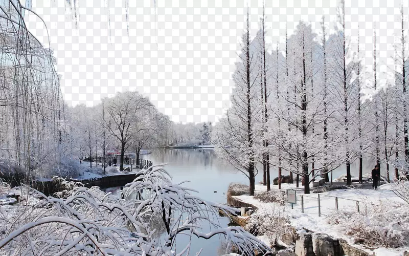 北京植物园雪景八
