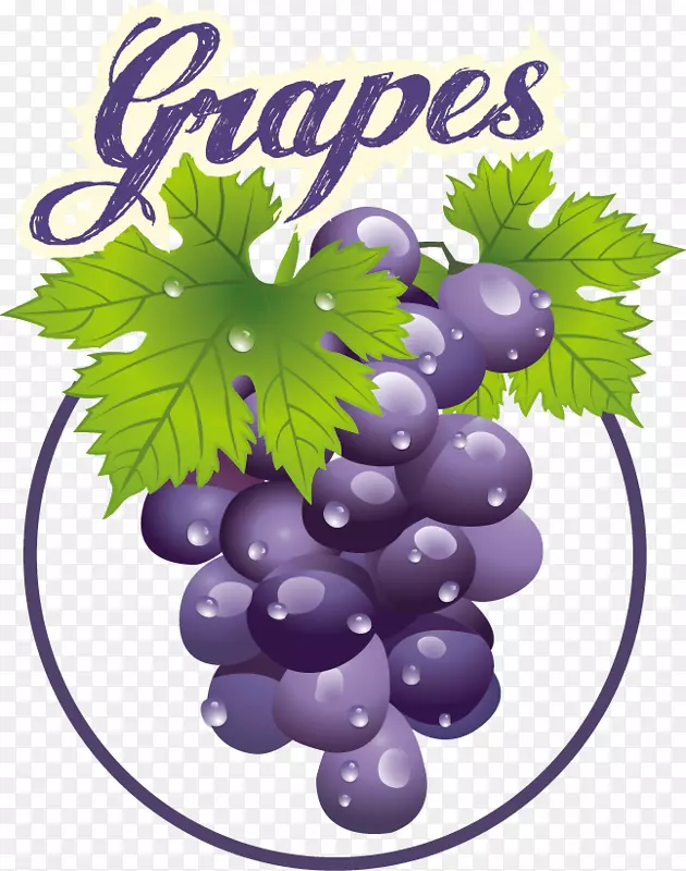 水果标签矢量素材--葡萄
