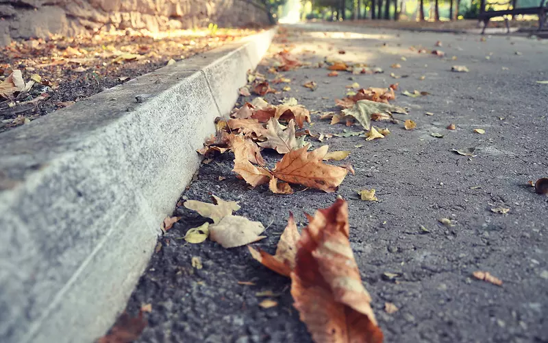 路边街道上的落叶