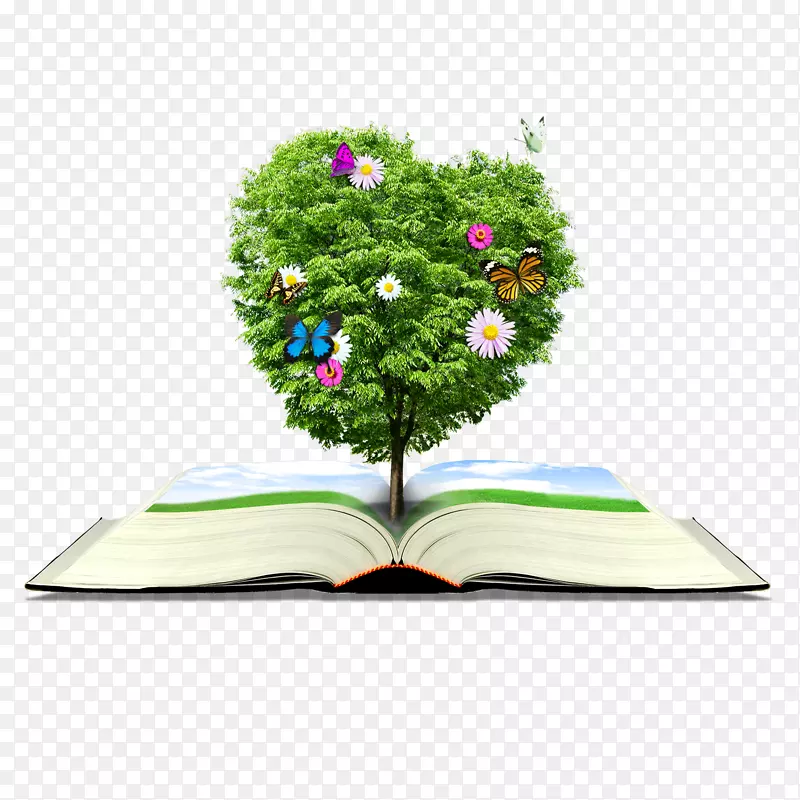 打开的书本长着一棵树