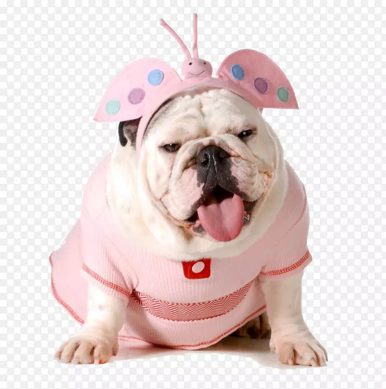 粉色衣服小狗免扣素材