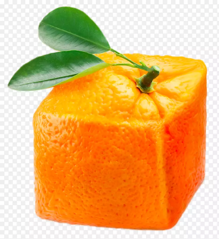 创意正方形的橙子
