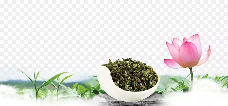 水墨莲花茶文化背景