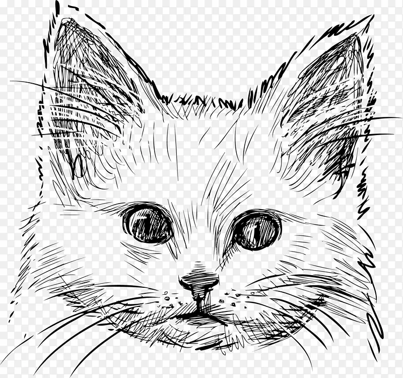 创意猫头像矢量手绘速写猫咪