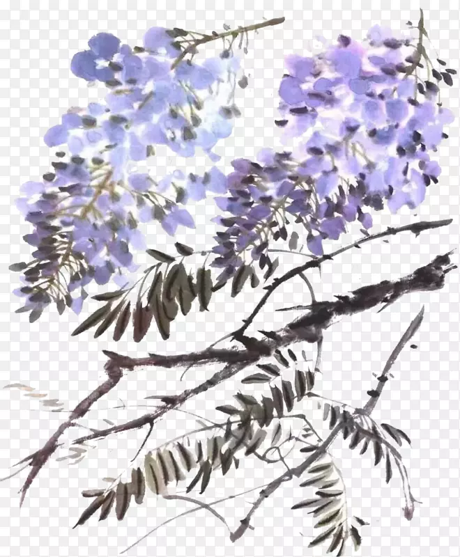 美丽的水墨紫藤花