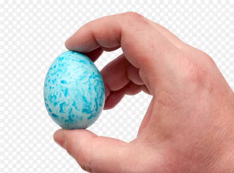 蓝色禽蛋手捏着的食用彩蛋实物