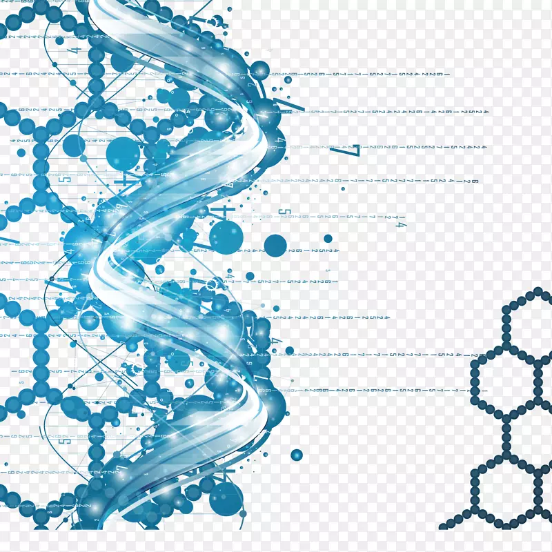 蓝色基因组分子结构矢量