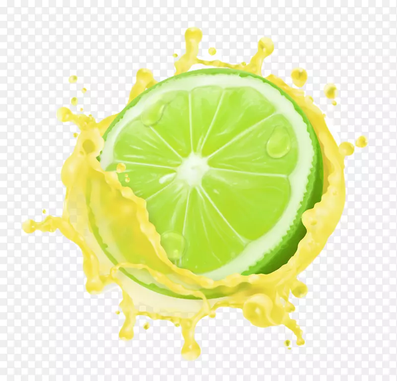 美味青柠矢量图