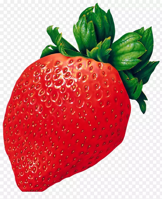 高清水果草莓手绘免扣矢量图