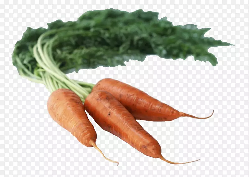 手绘蔬菜素材卡通食物素材 胡萝
