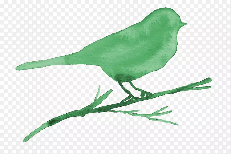 绿色小鸟剪影
