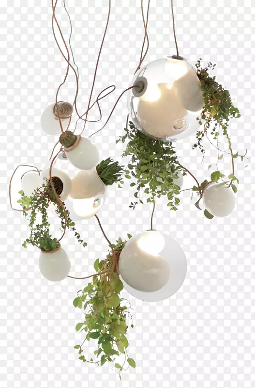 创意高清摄影质感灯具植物