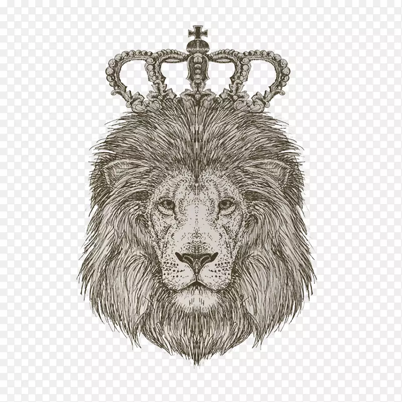 狮子之王