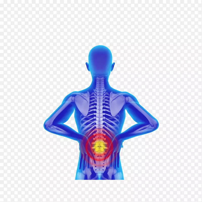 手绘腰椎疼痛X光人体图素材