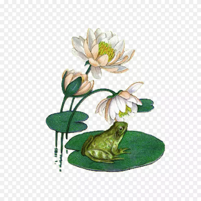 绿色中国风青蛙花朵装饰图案