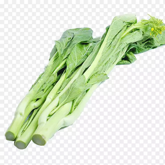 三根新鲜绿色蔬菜白菜苔免抠