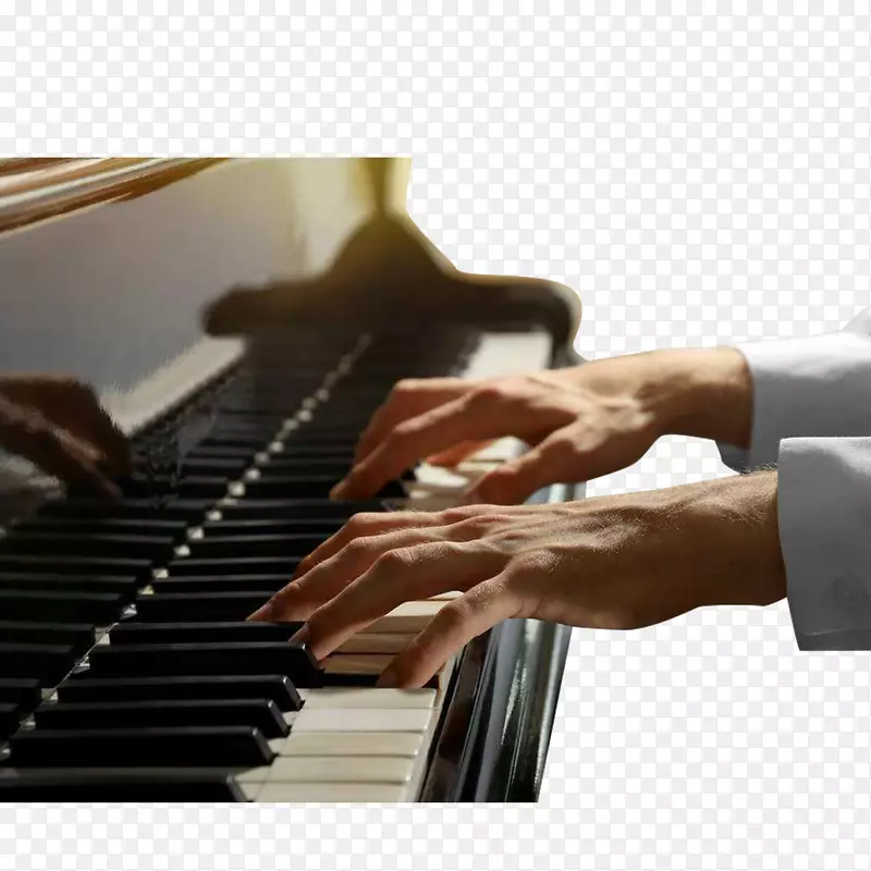 钢琴教学手势图免抠png