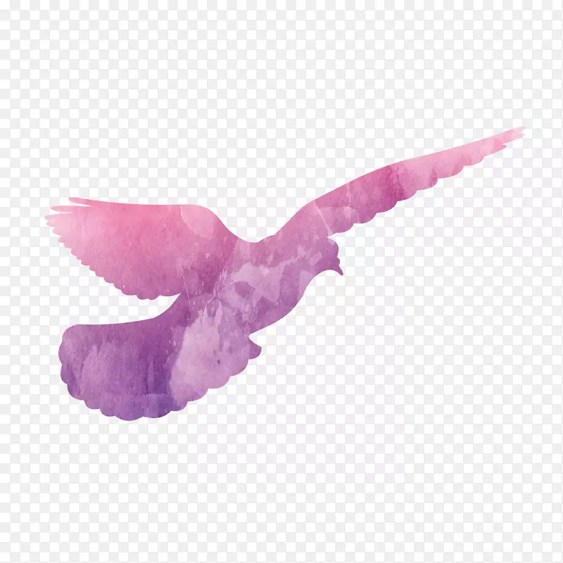 手绘飞翔的鸽子设计