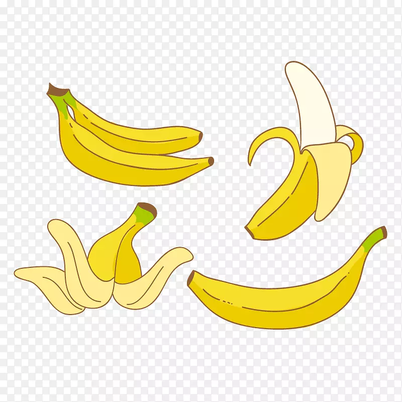 矢量香蕉形态