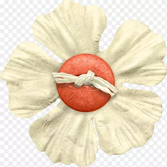 白色花瓣红色纽扣花朵