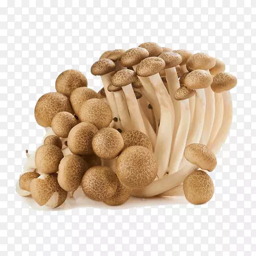 菌菇蟹味菇