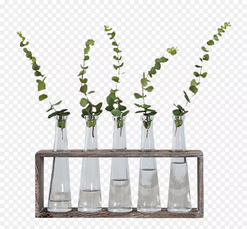 简约玻璃组合植物装饰