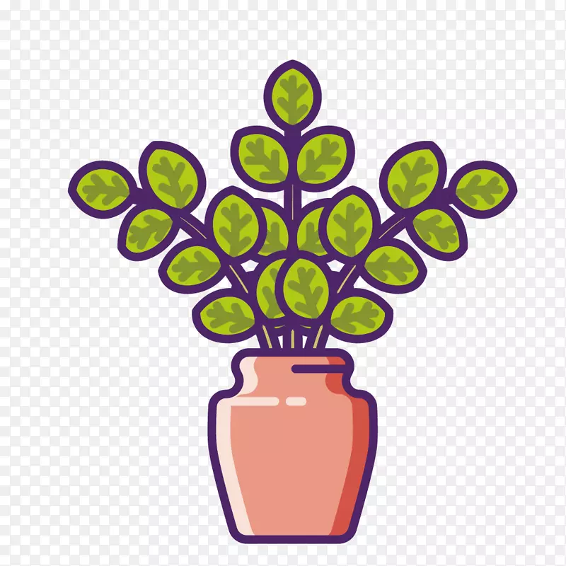 绿色花瓶植物