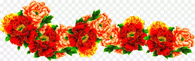 高清摄影红色的海棠花造型