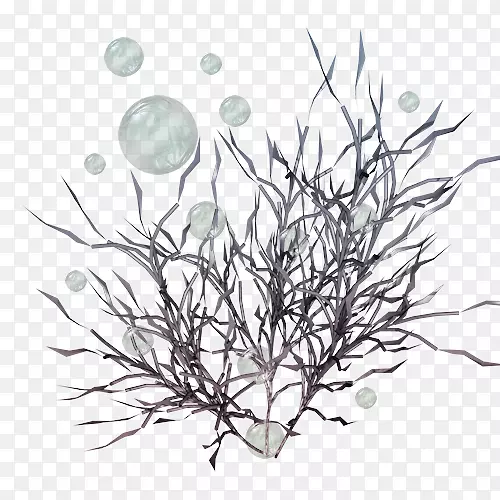 海洋生物
