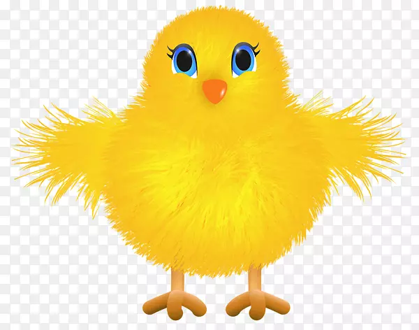 黄色小翅膀小鸡