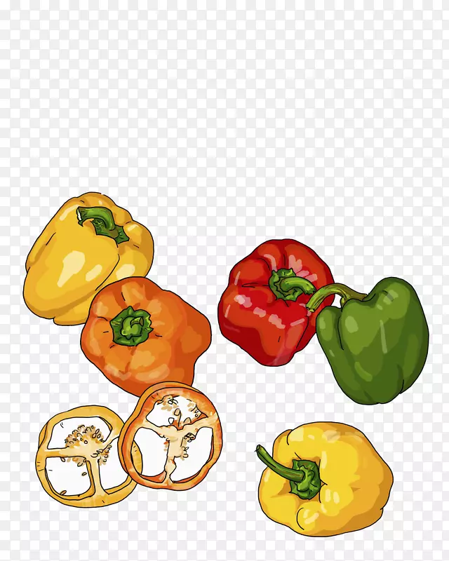 彩色辣椒手绘蔬菜