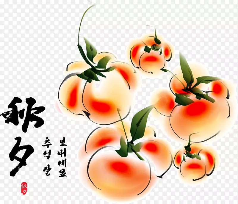 矢量韩国风格手绘水果
