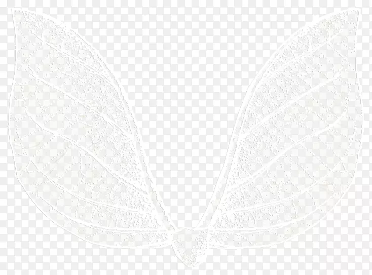 隐形的翅膀