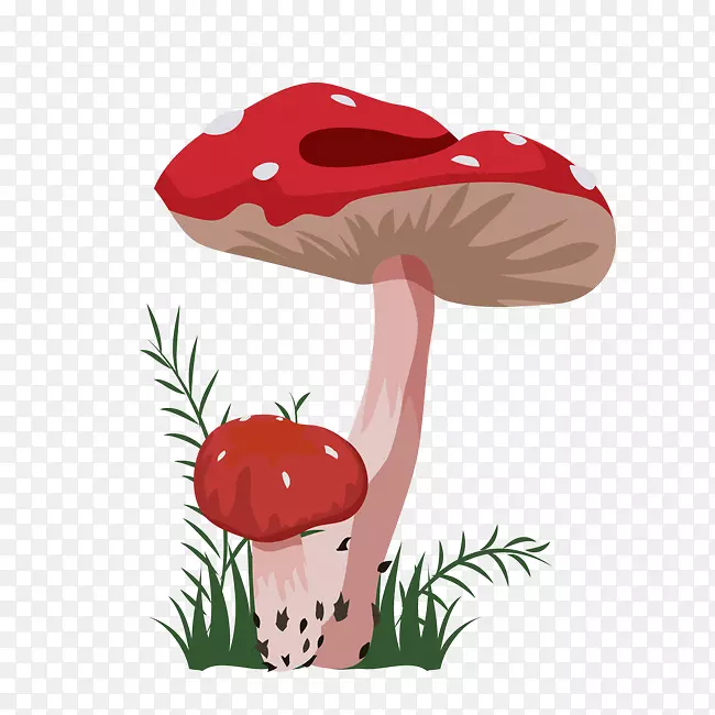 彩绘立体蘑菇素材