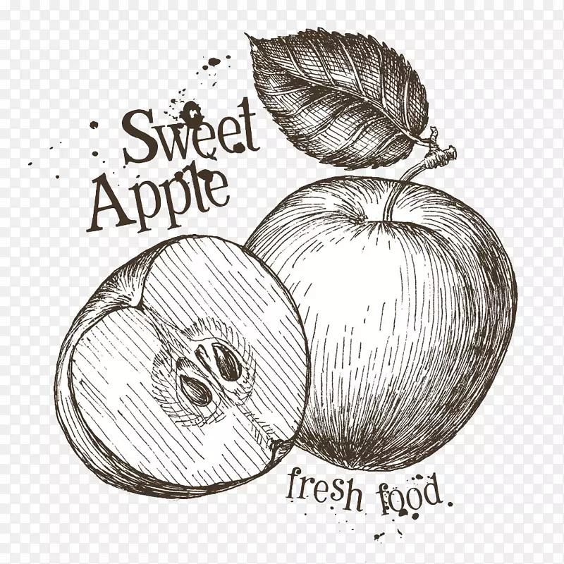 手绘素描苹果