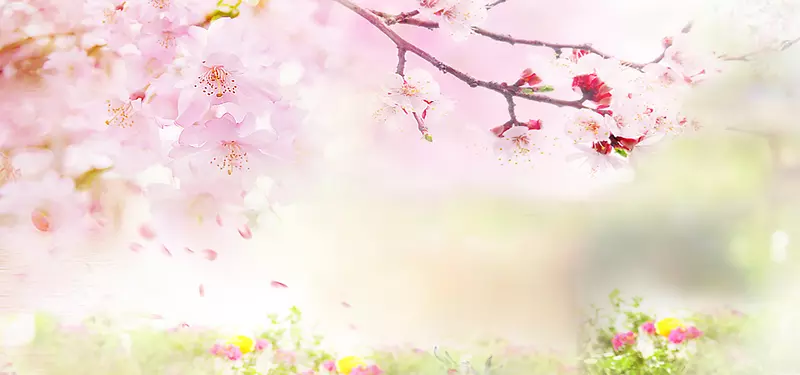 女装banner