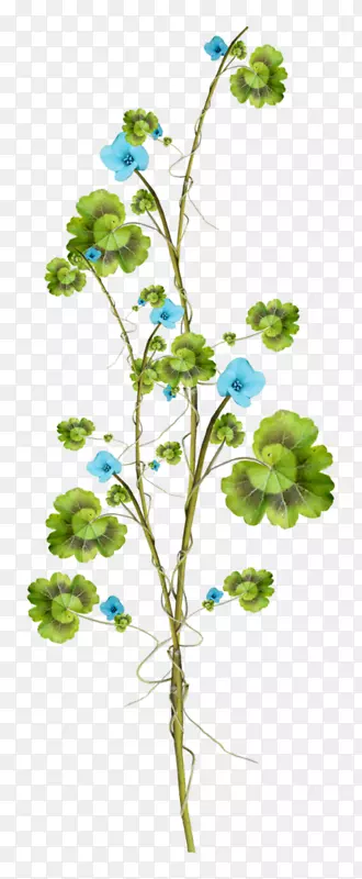 蓝色花朵缠绕绿色树叶
